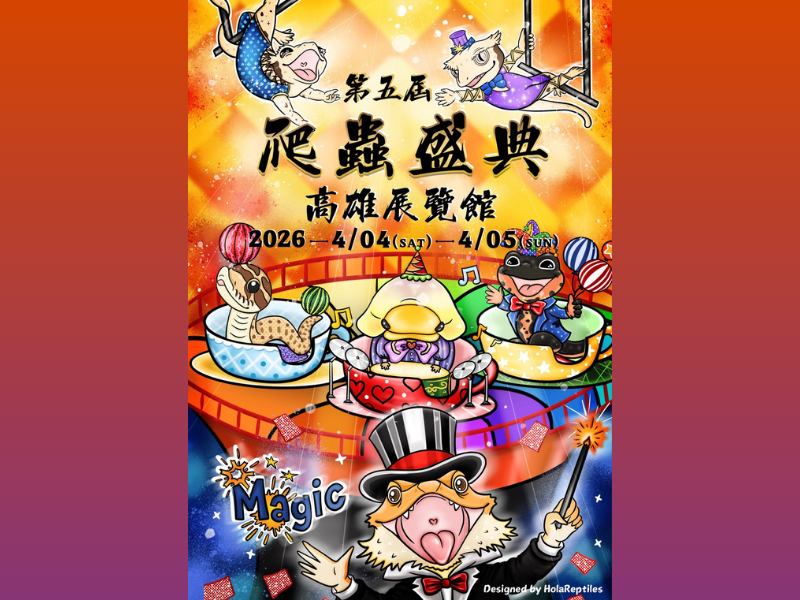 2026 國際兩棲爬蟲盛典｜高雄活動大集合